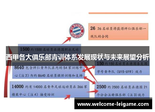 西甲各大俱乐部青训体系发展现状与未来展望分析