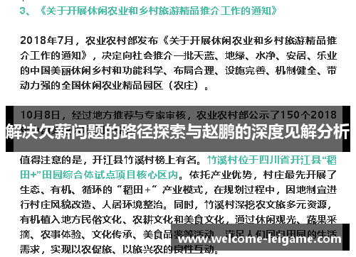 解决欠薪问题的路径探索与赵鹏的深度见解分析