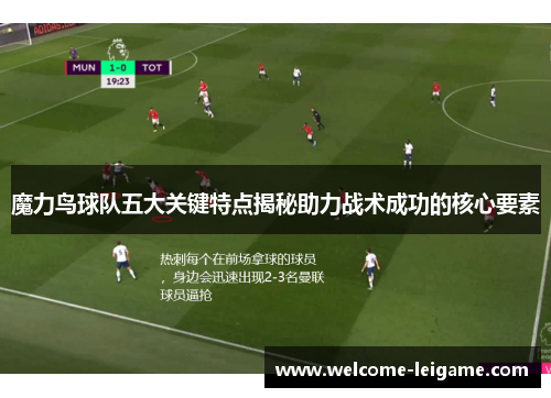 魔力鸟球队五大关键特点揭秘助力战术成功的核心要素