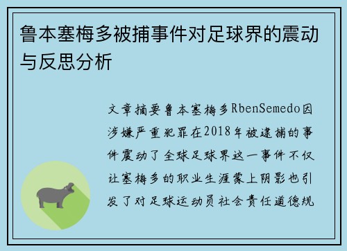 鲁本塞梅多被捕事件对足球界的震动与反思分析